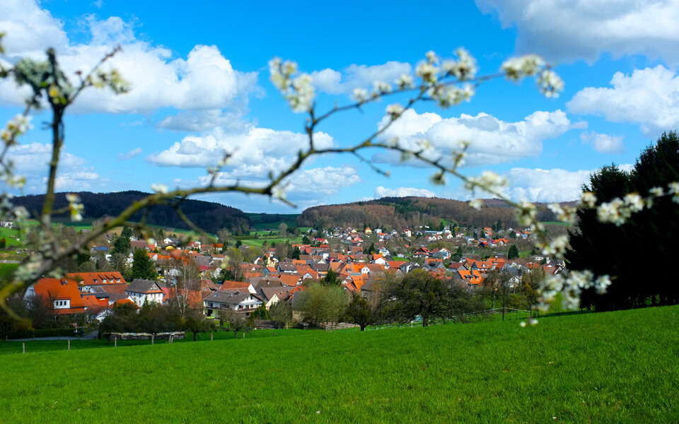Blick auf Brandau