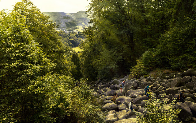 Felsenmeer in Reichenbach
