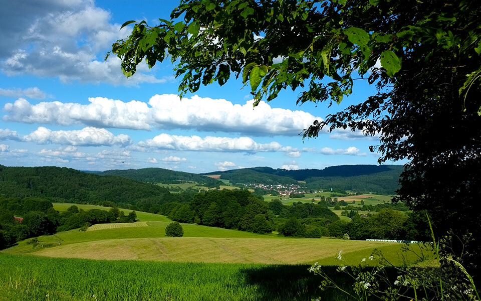 Blick auf Brandau