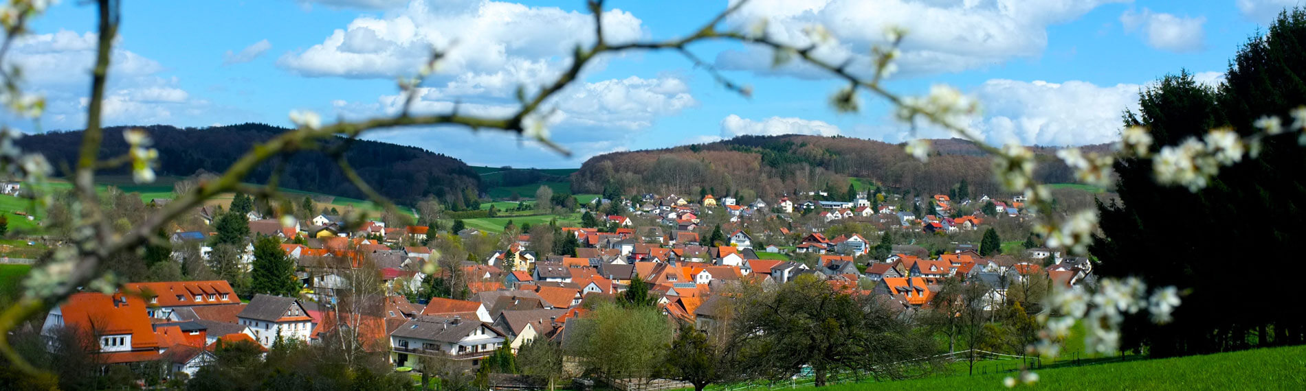 Blick auf Brandau