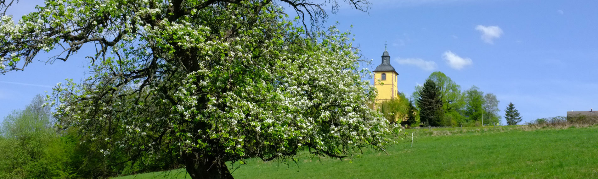 Blick auf die Kirche in Neunkirchen
