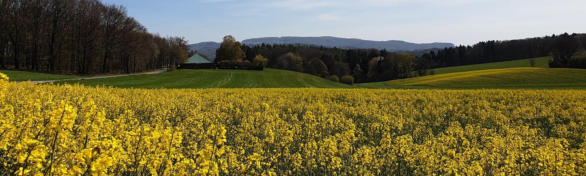 Blick auf den Friedhof von Neutsch