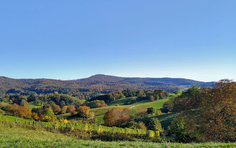 Wunderschöner Odenwald
